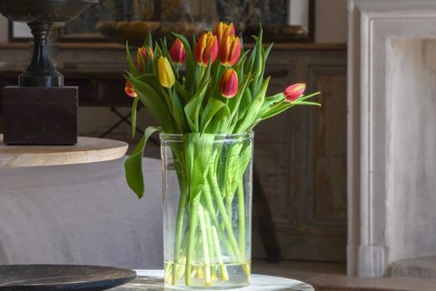 Villa i Uzes, Gard, Uzes - € 2.350.000 | Ref: HH-16166229 - foto 26