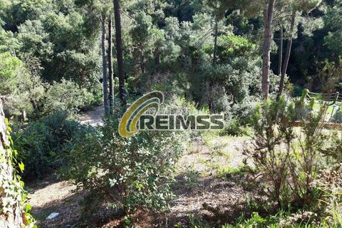 Villa a Lloret De Mar, Gerona, Lloret De Mar - € 234.000 | Ref: 4057 - foto 9