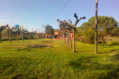 Villa i Riudellots De La Selva, Gerona - foto 3