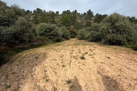 Terra a Asco, Tarragona, Asco - € 17.500 | Ref: Asc07jes - foto 4