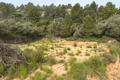 Terra a Asco, Tarragona, Asco - € 17.500 | Ref: Asc07jes - foto 2