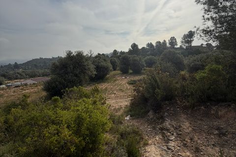Terra a Asco, Tarragona, Asco - € 17.500 | Ref: Asc07jes - foto 6