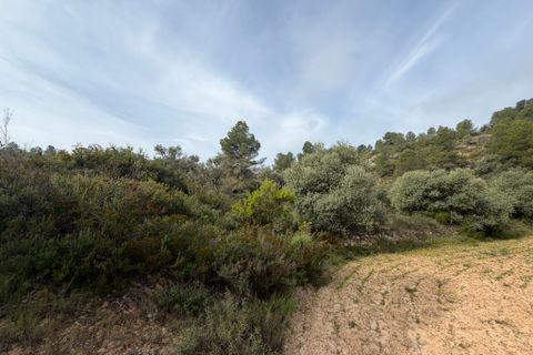Terra a Asco, Tarragona, Asco - € 17.500 | Ref: Asc07jes - foto 3