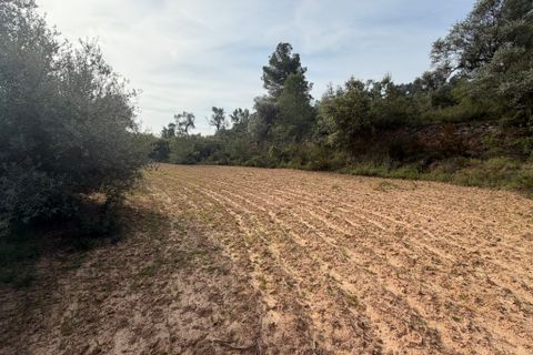 Terra a Asco, Tarragona, Asco - € 17.500 | Ref: Asc07jes - foto 9