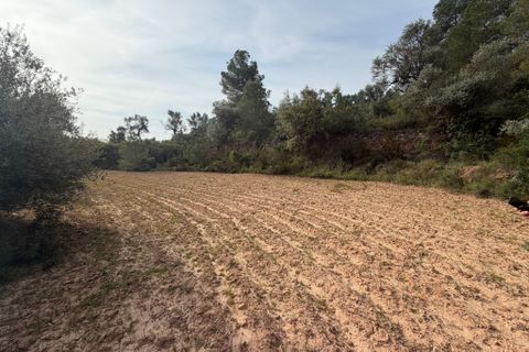 Terra a Asco, Tarragona, Asco - € 17.500 | Ref: Asc07jes - foto 8