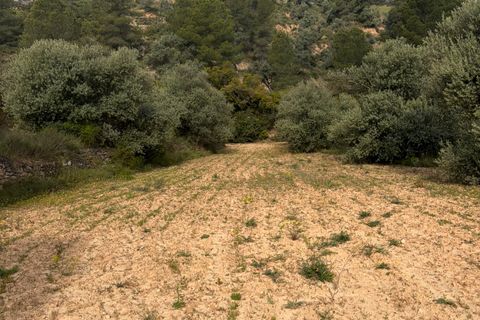 Terra a Asco, Tarragona, Asco - € 17.500 | Ref: Asc07jes - foto 5