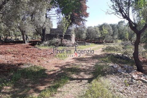 Landejendom i Ostuni, Brindisi, Ostuni - € 23.000 | Ref: 173042 - foto 3