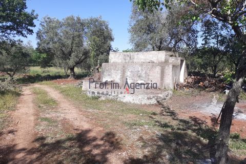 Landejendom i Ostuni, Brindisi, Ostuni - € 23.000 | Ref: 173042 - foto 2