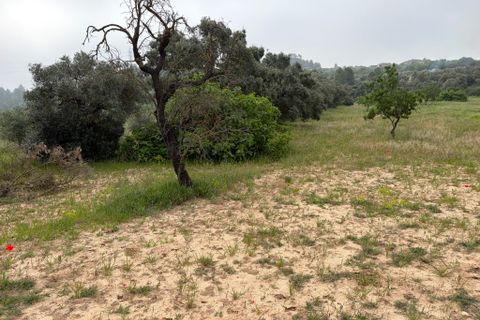Terra a Asco, Tarragona, Asco - € 15.000 | Ref: Asc06jes - foto 3