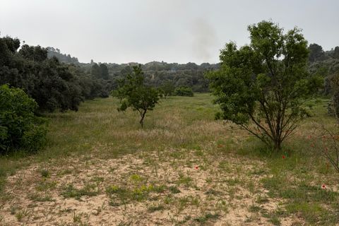 Terra a Asco, Tarragona, Asco - € 15.000 | Ref: Asc06jes - foto 5