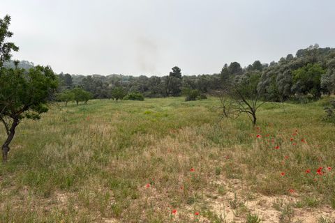 Terra a Asco, Tarragona, Asco - € 15.000 | Ref: Asc06jes - foto 6