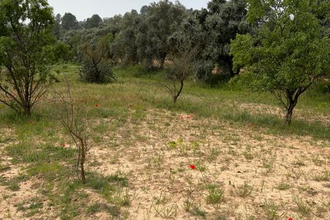 Terra a Asco, Tarragona, Asco - € 15.000 | Ref: Asc06jes - foto 2