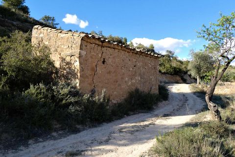 Finca i Batea, Tarragona, Batea - € 14.000 | Ref: 1123 - foto 5