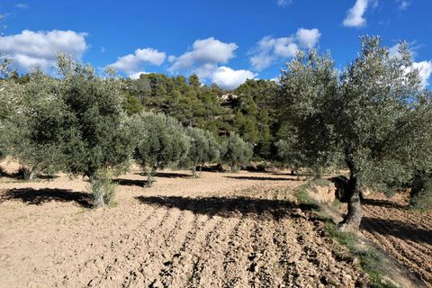 Finca i Batea, Tarragona, Batea - € 14.000 | Ref: 1123 - foto 7