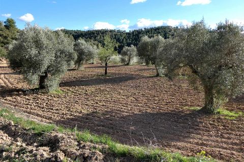 Finca i Batea, Tarragona, Batea - € 14.000 | Ref: 1123 - foto 8
