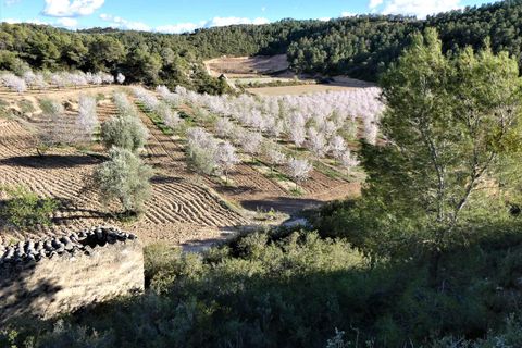 Finca i Batea, Tarragona, Batea - € 14.000 | Ref: 1123 - foto 29