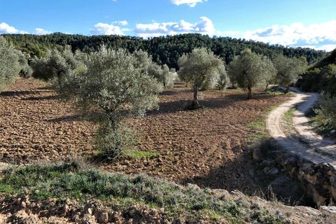 Finca i Batea, Tarragona, Batea - € 14.000 | Ref: 1123 - foto 15