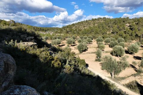 Finca i Batea, Tarragona, Batea - € 14.000 | Ref: 1123 - foto 26
