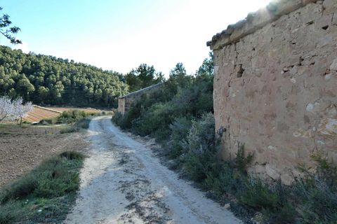 Finca i Batea, Tarragona, Batea - € 14.000 | Ref: 1123 - foto 6