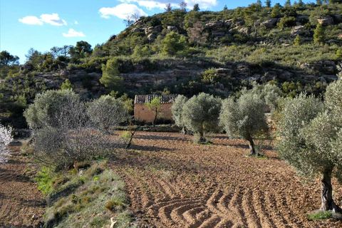 Finca i Batea, Tarragona, Batea - € 14.000 | Ref: 1123 - foto 24