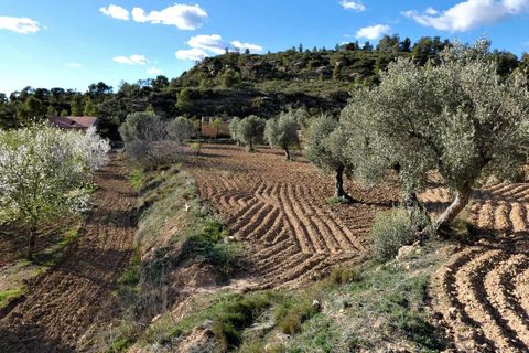 Finca i Batea, Tarragona, Batea - € 14.000 | Ref: 1123 - foto 22