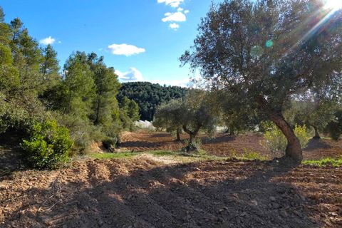Finca i Batea, Tarragona, Batea - € 14.000 | Ref: 1123 - foto 13