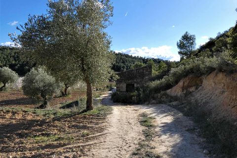 Finca i Batea, Tarragona, Batea - € 14.000 | Ref: 1123 - foto 16