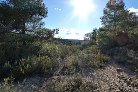 Finca i Batea, Tarragona, Batea - € 14.000 | Ref: 1123 - foto 30
