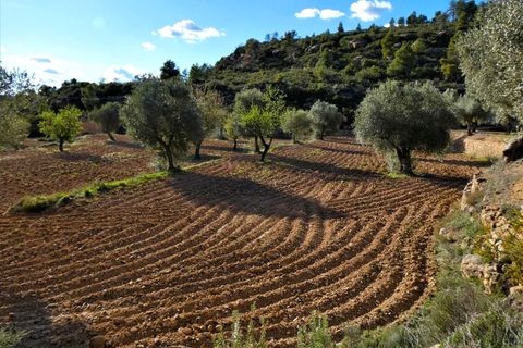 Finca i Batea, Tarragona, Batea - € 14.000 | Ref: 1123 - foto 21