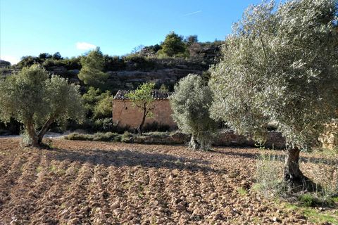 Finca i Batea, Tarragona, Batea - € 14.000 | Ref: 1123 - foto 19