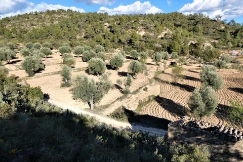 Finca i Batea, Tarragona, Batea - € 14.000 | Ref: 1123 - foto 27