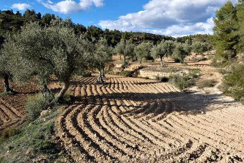 Finca i Batea, Tarragona, Batea - € 14.000 | Ref: 1123 - foto 23