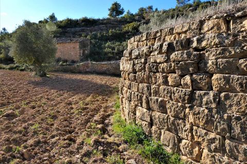 Finca i Batea, Tarragona, Batea - € 14.000 | Ref: 1123 - foto 20