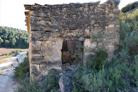 Finca i Batea, Tarragona, Batea - € 14.000 | Ref: 1123 - foto 17