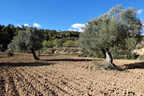Finca i Batea, Tarragona, Batea - € 14.000 | Ref: 1123 - foto 11