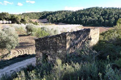 Finca i Batea, Tarragona, Batea - € 14.000 | Ref: 1123 - foto 25