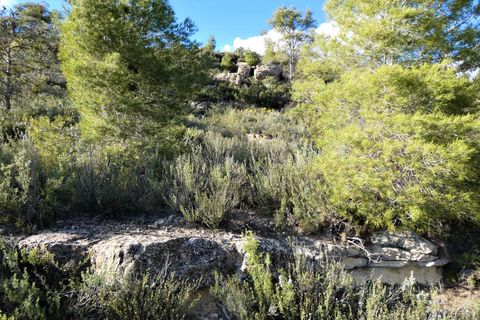 Finca i Batea, Tarragona, Batea - € 14.000 | Ref: 1123 - foto 31