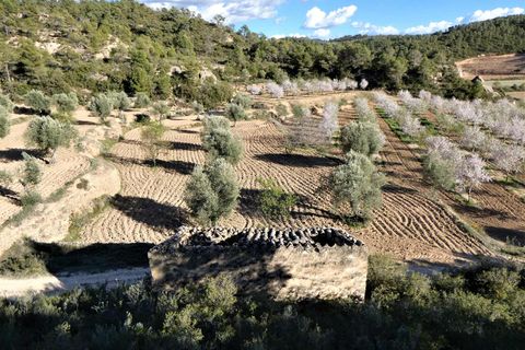 Finca i Batea, Tarragona, Batea - € 14.000 | Ref: 1123 - foto 28