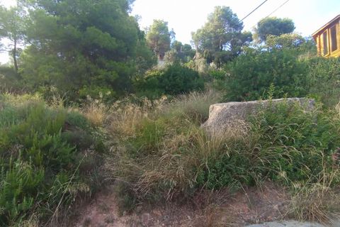 Terreno en Rellinars, Barcelona, Rellinars - € 76.000 | Ref: VT509 - photo 8