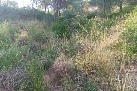 Terreno en Rellinars, Barcelona, Rellinars - € 76.000 | Ref: VT509 - photo 13
