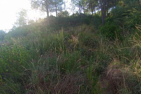Terreno en Rellinars, Barcelona, Rellinars - € 76.000 | Ref: VT509 - photo 14