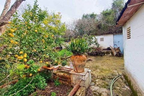 Villa i Tarragona, Tarragona, Tarragona - € 250.000 | Ref: VT557 - foto 11