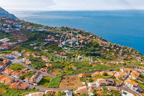 Maa Ribeira Bravassa, Madeira - kuva 1