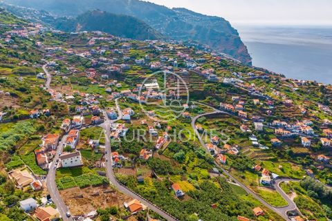Maa Ribeira Bravassa, Madeira - kuva 3
