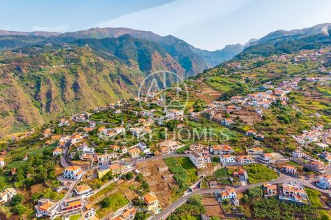 Maa Ribeira Bravassa, Madeira - kuva 4