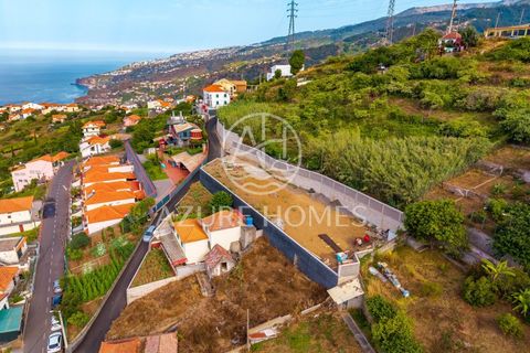 Maa Ribeira Bravassa, Madeira - kuva 2