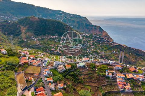 Maa Ribeira Bravassa, Madeira - kuva 5
