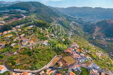 Terra a Ribeira Brava, Madeira, Ribeira Brava - € 220.000 | Ref: SÒL_11 - foto 9