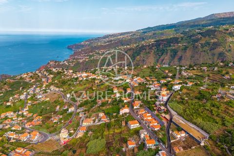 Terra a Ribeira Brava, Madeira, Ribeira Brava - € 220.000 | Ref: SÒL_11 - foto 13