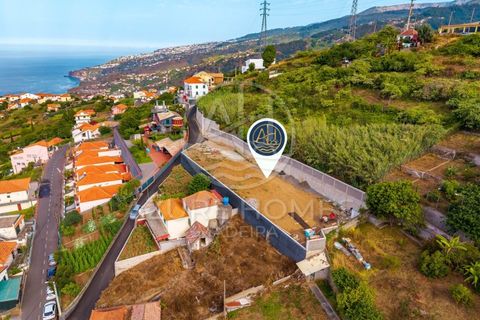 Terra a Ribeira Brava, Madeira, Ribeira Brava - € 220.000 | Ref: SÒL_11 - foto 4